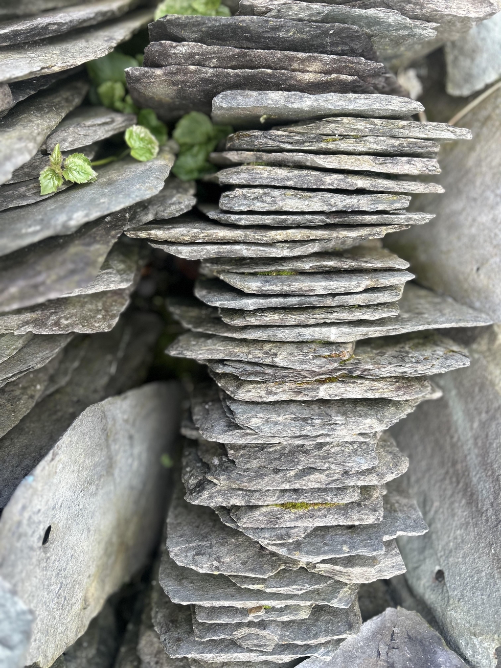 slate - Westmorland green