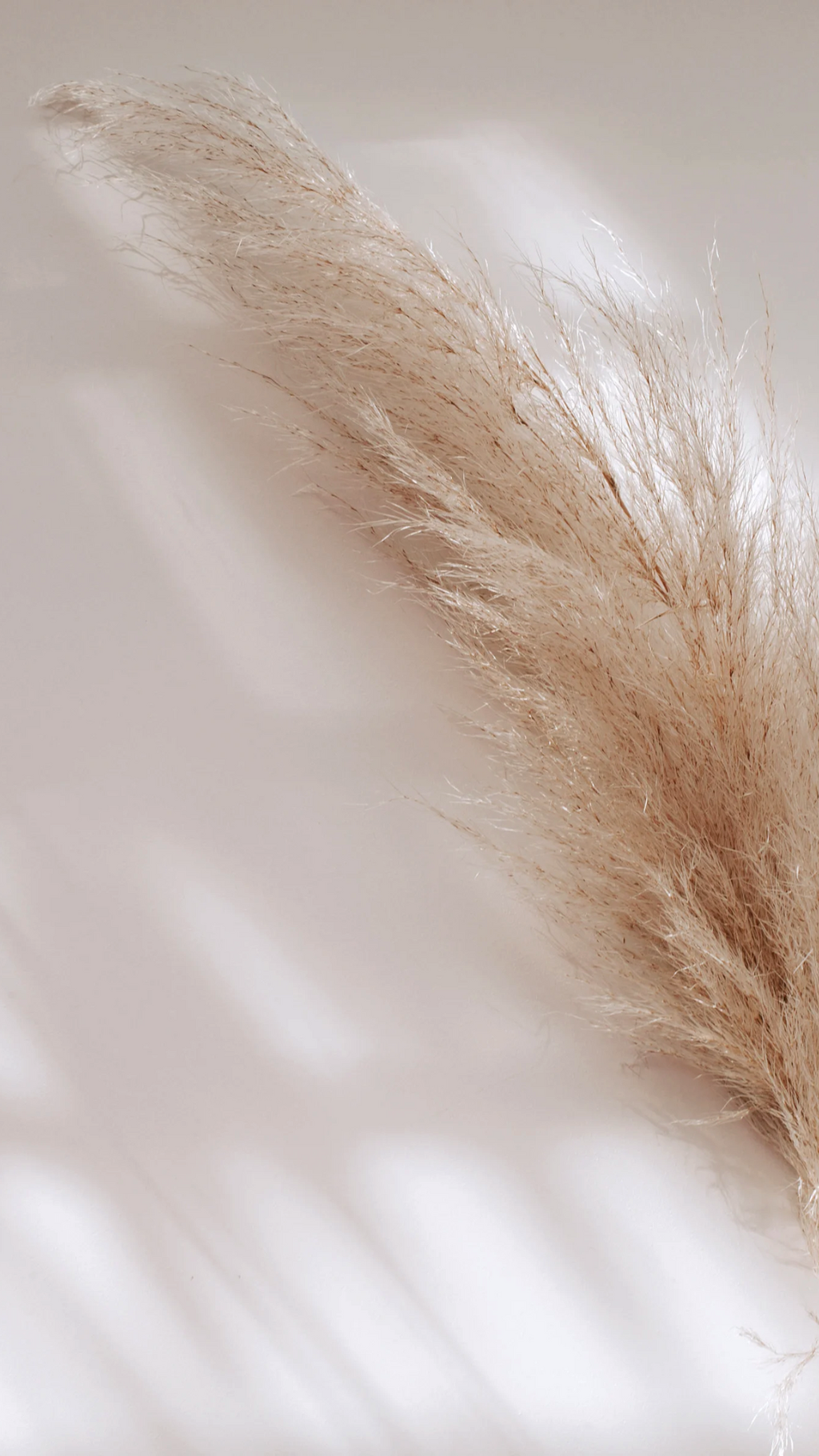 Jetzt buchen – dein Weg raus aus Schmerz, Stress & emotionalem Chaos
Weniger Leiden. Mehr Leben. Starte jetzt.