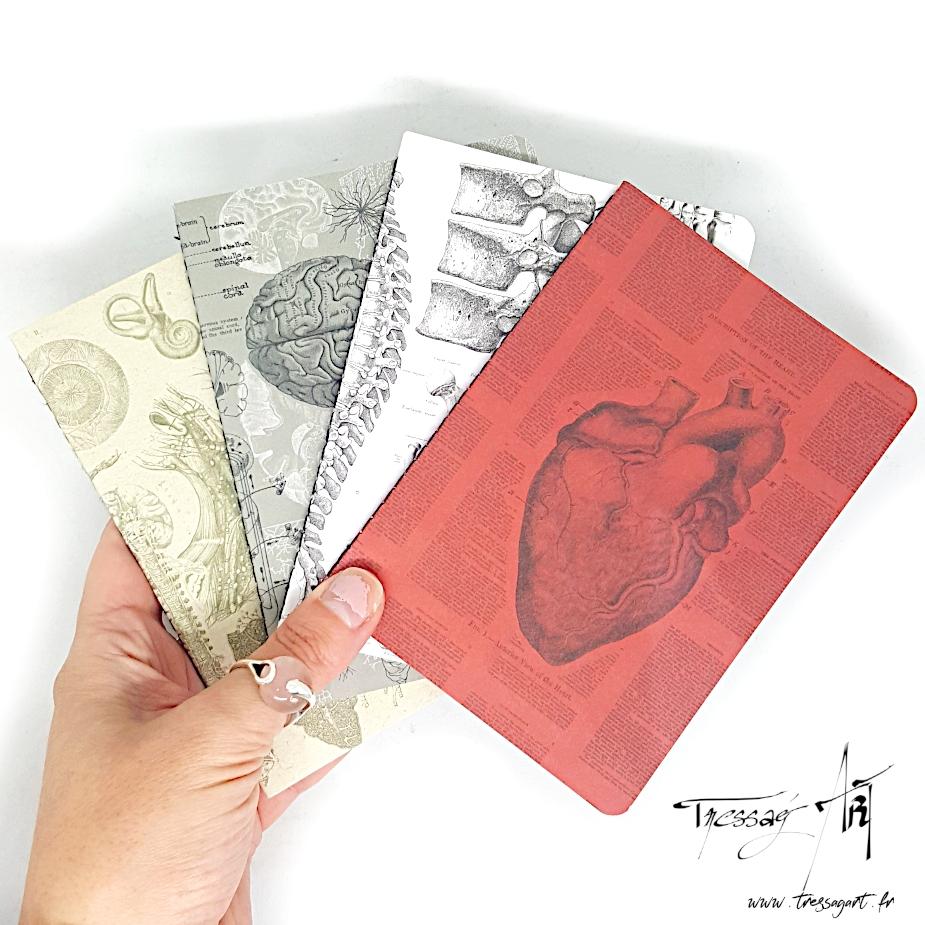 Papeterie fantaisie, carnets, cabinet de curiosités
