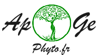 store_logo