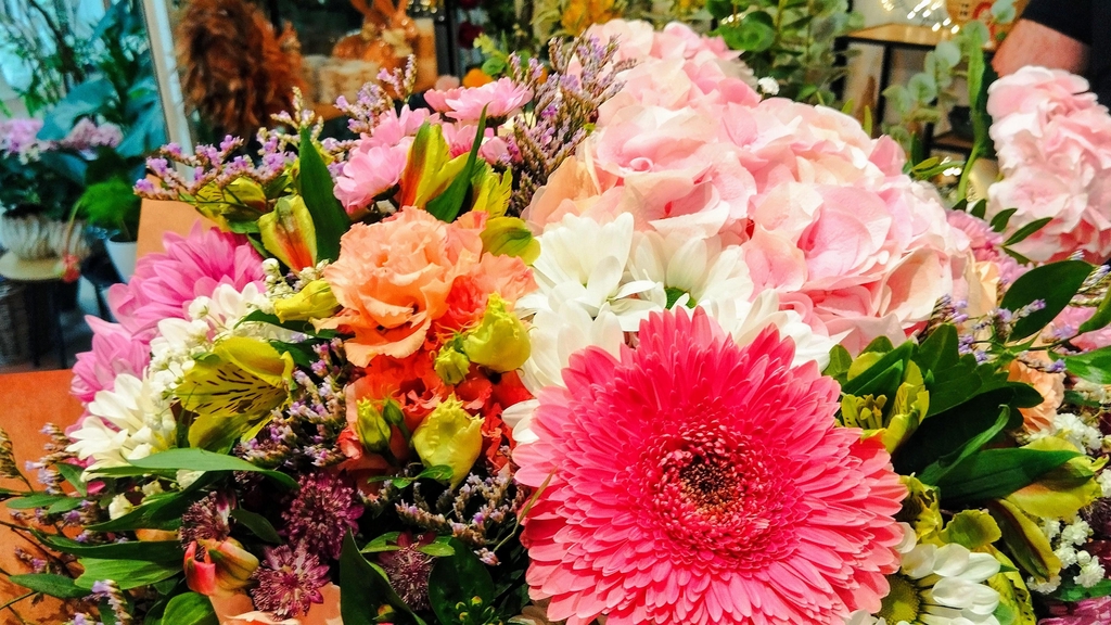 Květiny od Lukáše