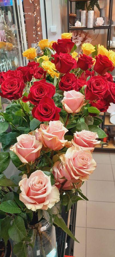 product_list_image_cover