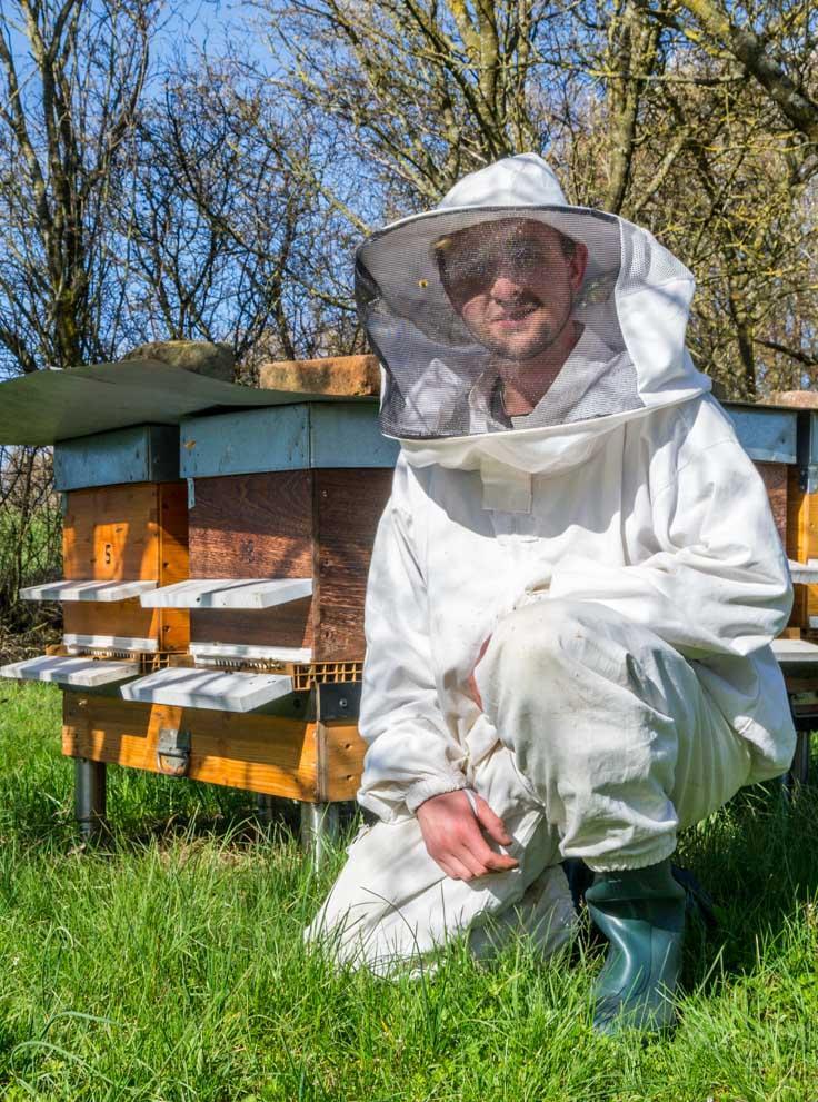 Steve Heim - Apiculteur Récoltant passionné dans la région de Saverne (Dép.67 - Bas-Rhin - Alsace). Miels et produits de la ruche. Depuis toujours passionné par la nature et par l'environnement, c'est ...