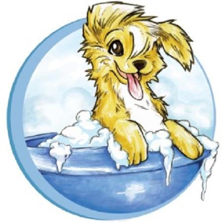 store_logo