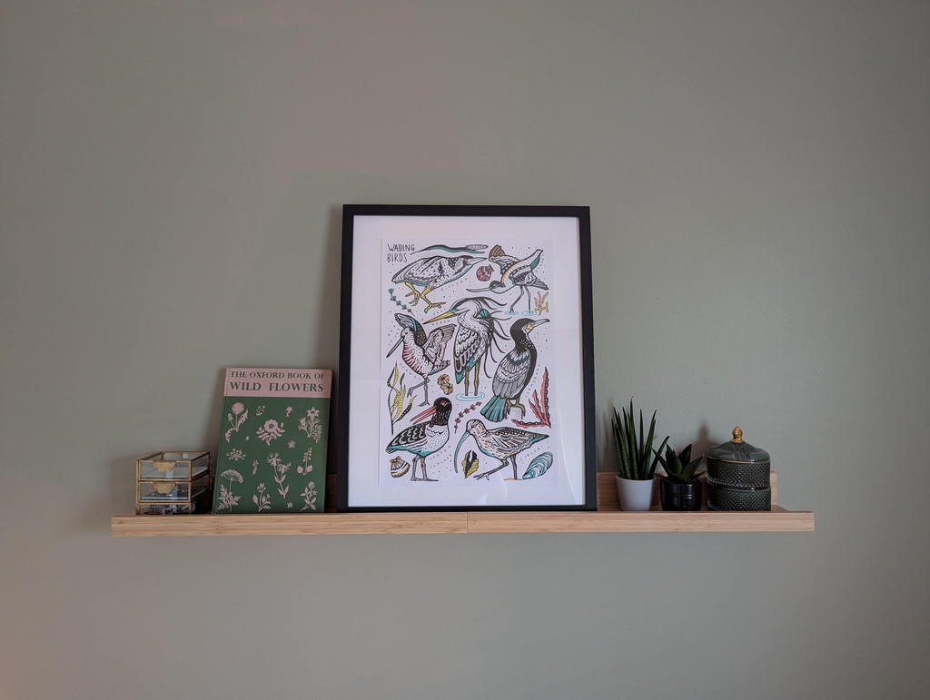 The framed first drawn version of my wading birds sheet