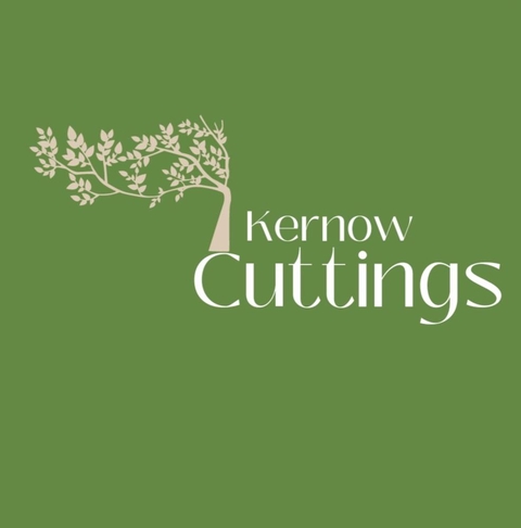 🌿 Small business 🌿
Selling stunning cuttings and house plants 🪴 
Based In Camborne 🍃