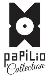 Un nouvel envol pour les musiques d'ailleurs 