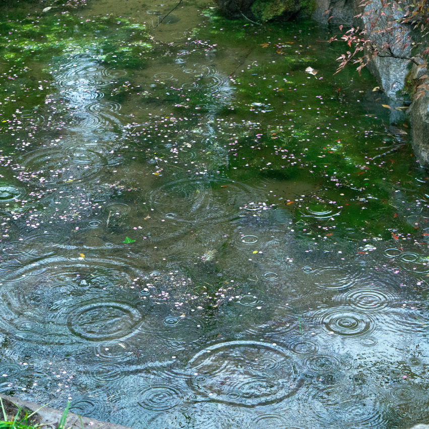 banner_image
