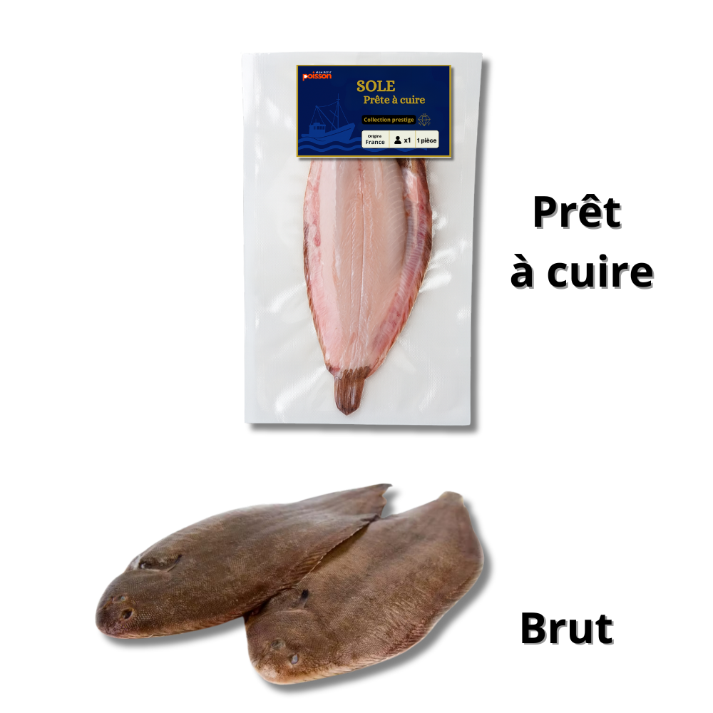 banner_image