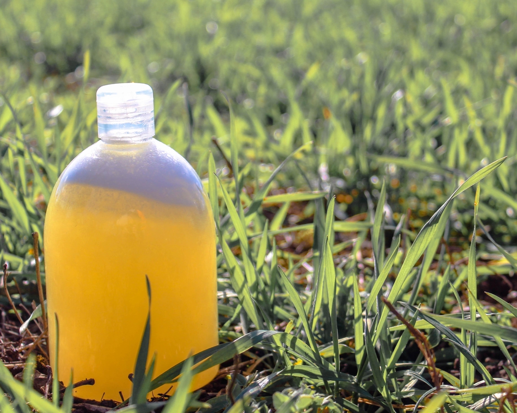 Savon liquide artisanal