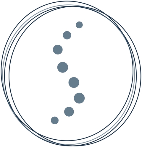 Praxis für Osteopathie - Swantje Law