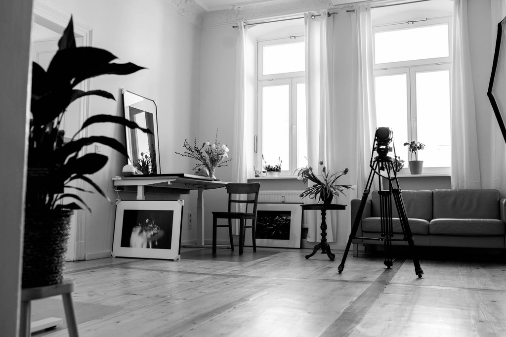 Fotostudio in Dresden