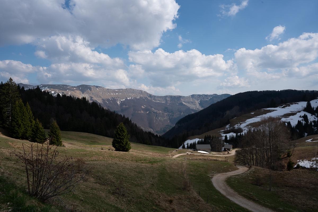 Pâturages des Hautes-Combes du Jura, hauts crêts.