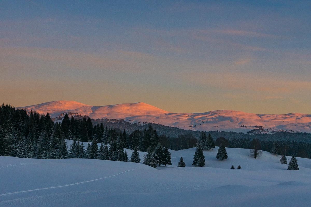 Hautes Combes du Jura