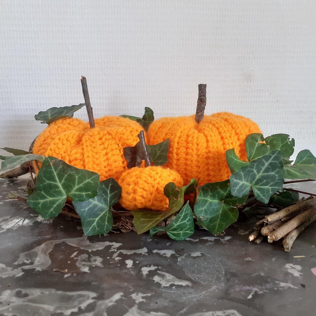 Un logo représentant un crochet avec une fiole de potion à sa gauche et un dragon à sa droite. Tout ceci surplombé de délicate feuilles tombante en arc de cercle tel un dom végétal.