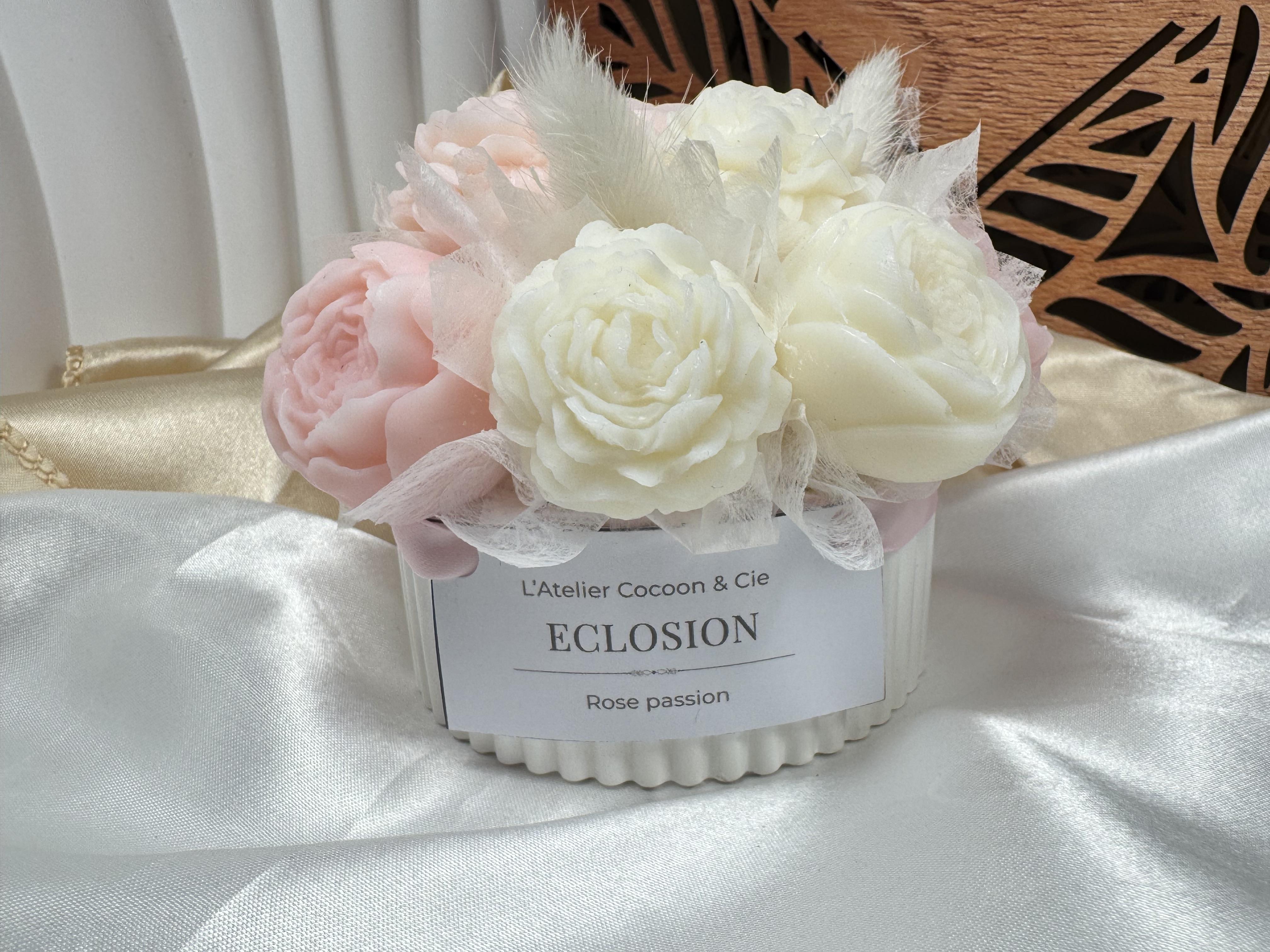ECLOSION