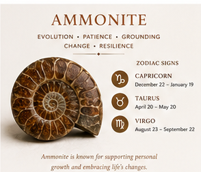 Ammonite