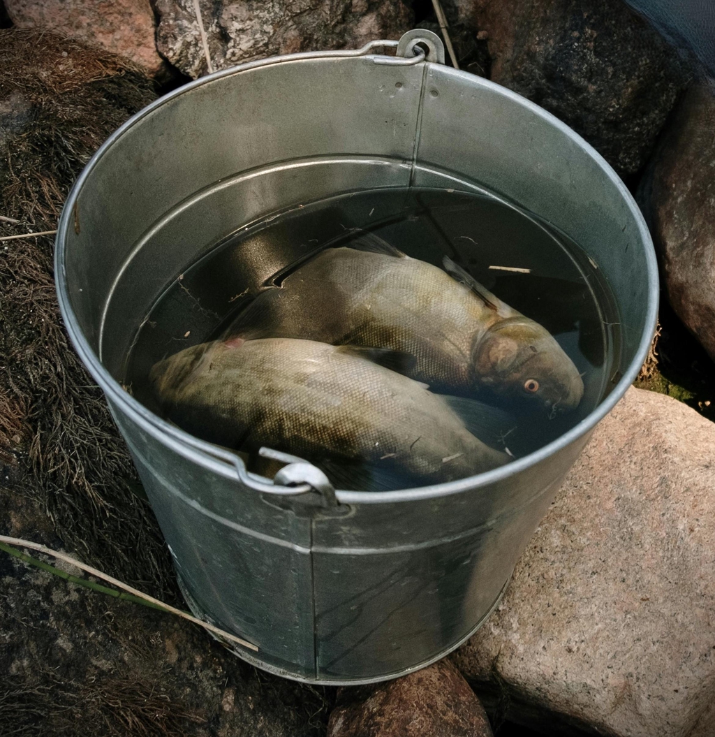 product_list_image_cover