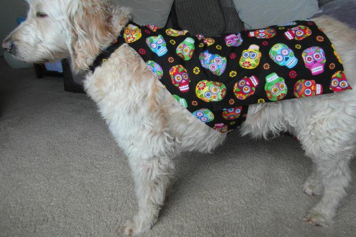 Bow ties, bandanas, dog coats