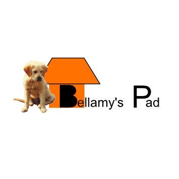 store_logo