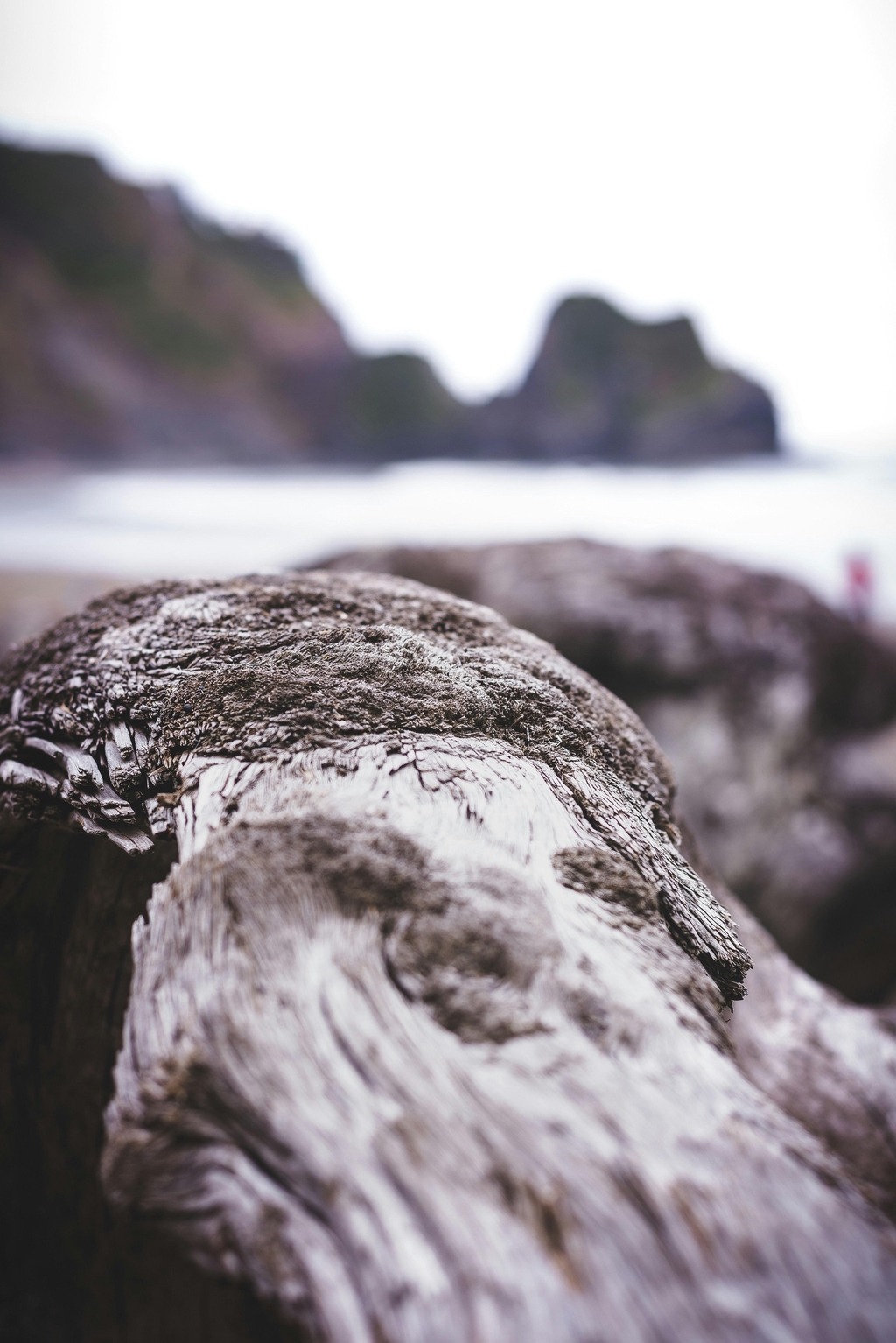 banner_image