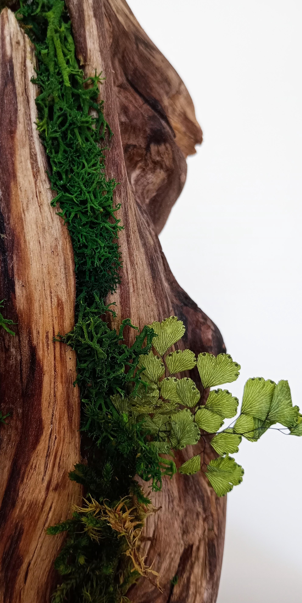 banner_image