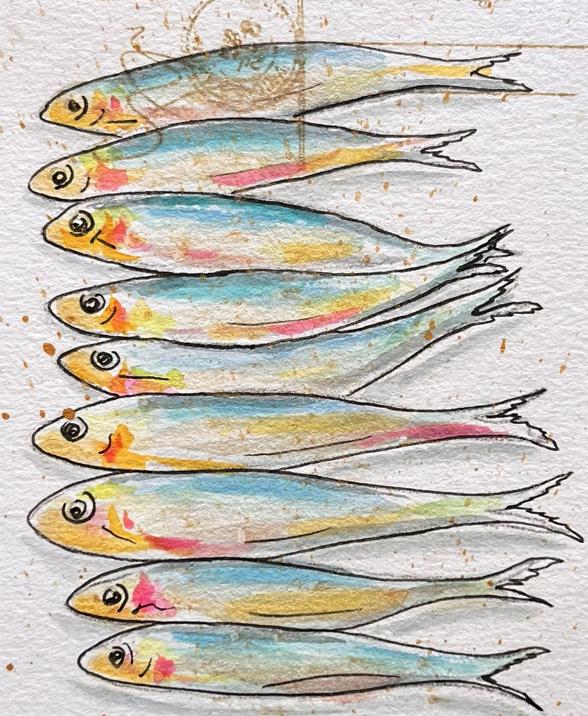 Catégorie aquarelles de sardines Originales à vendre.