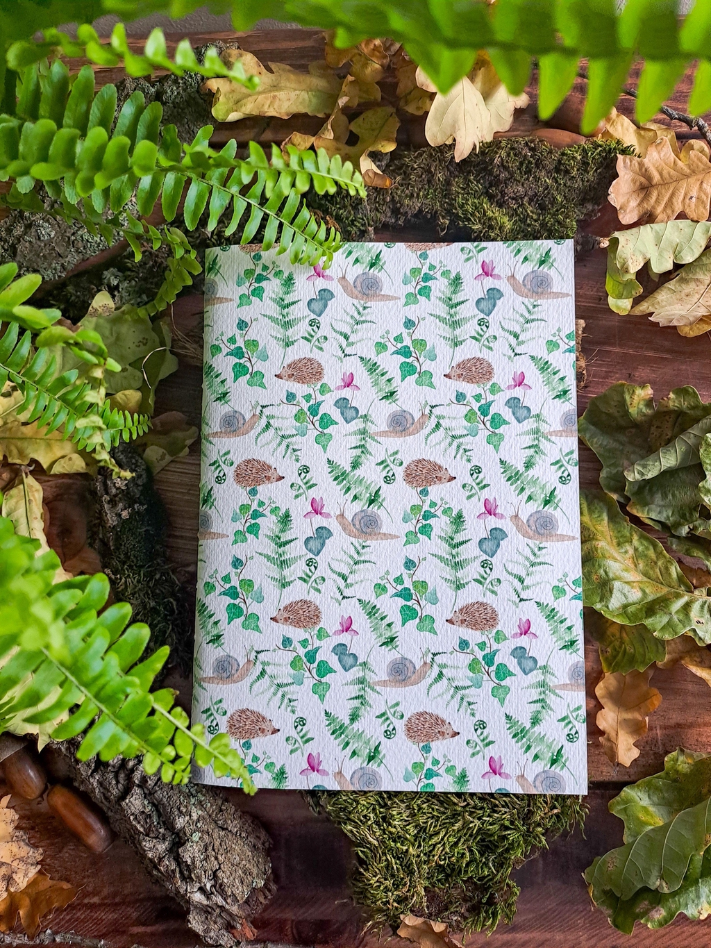 Collection Sous-bois