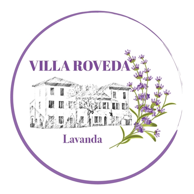 store_logo