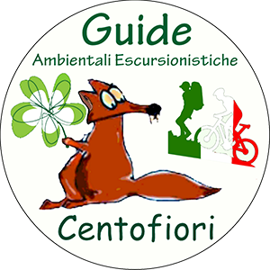 GUIDE 100 FIORI NEGOZIO ONLINE