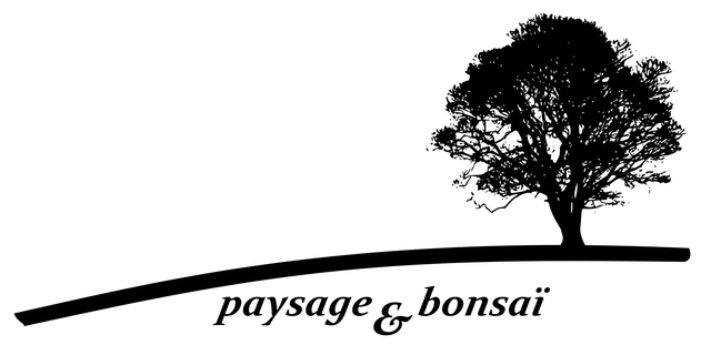 PAYSAGE & BONSAÏ