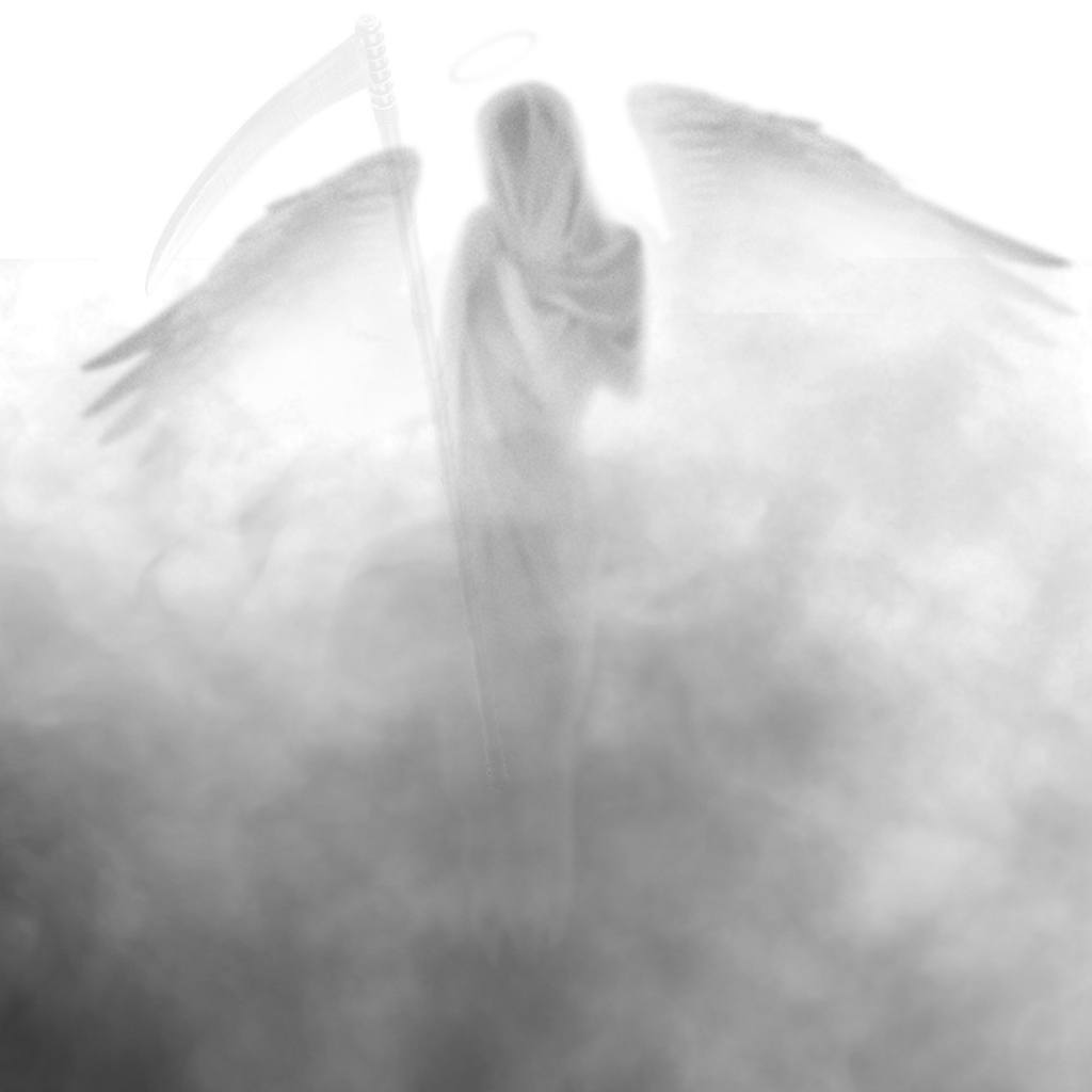 banner_image