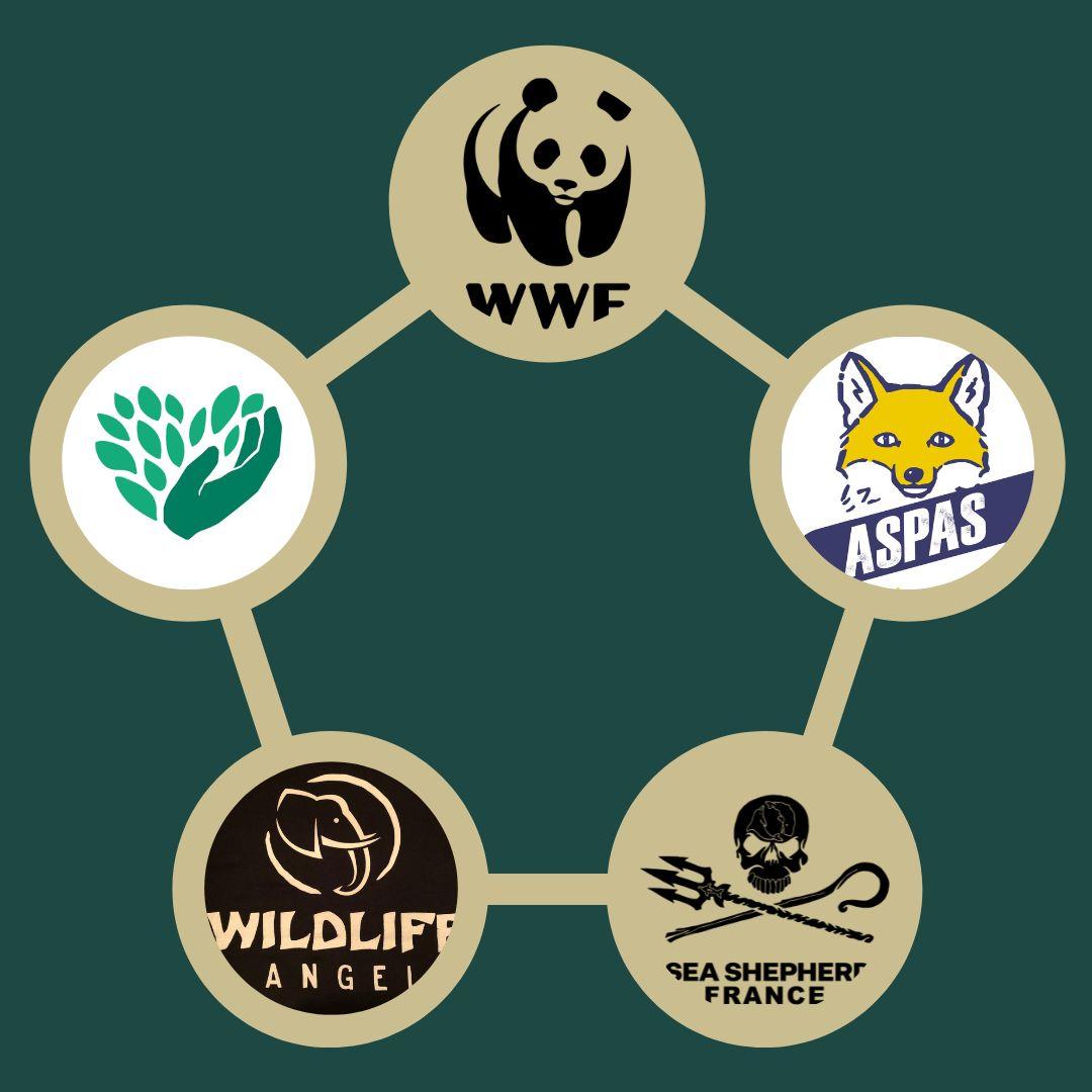 Composite des logos des associations soutenues par la créatrice : WWF France, Sea Shepherd France, ASPAS, Wildlife Angel et l'Association Cœur de Forêt. Pour chaque pièce vendue, une partie des bénéfices est reversée à l'une de ces associations œuvrant pour la protection de la nature et de la faune sauvage
