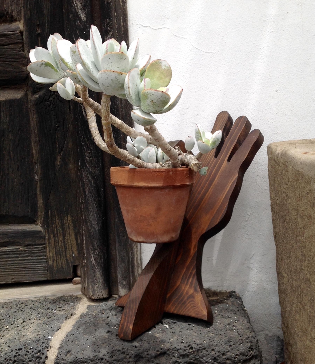 Eleva tus plantas a otro nivel