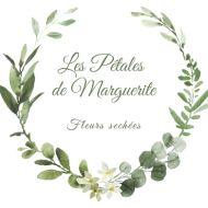 store_logo