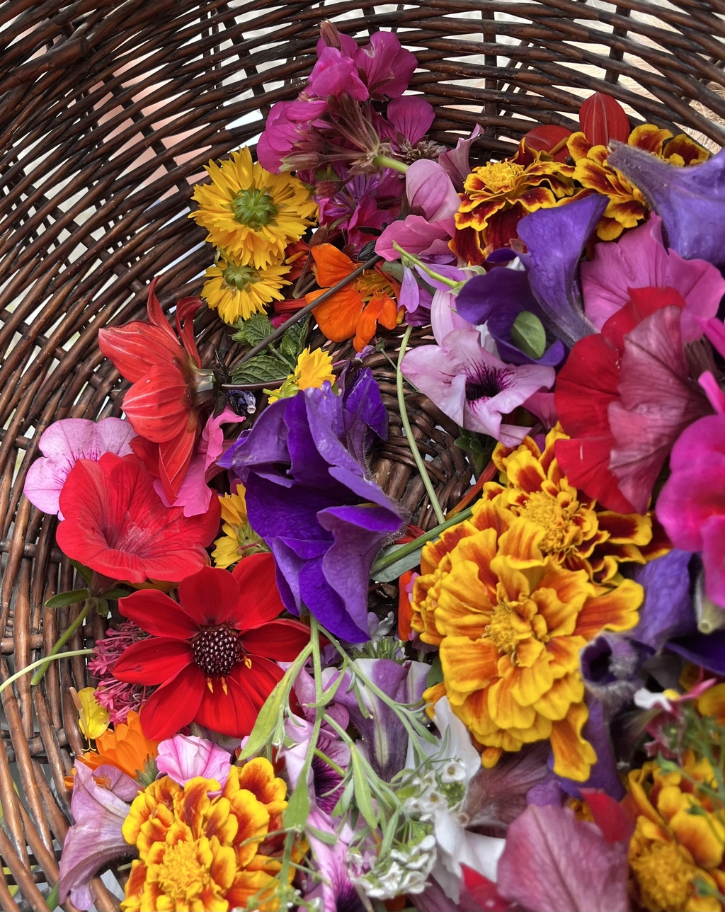 banner_image