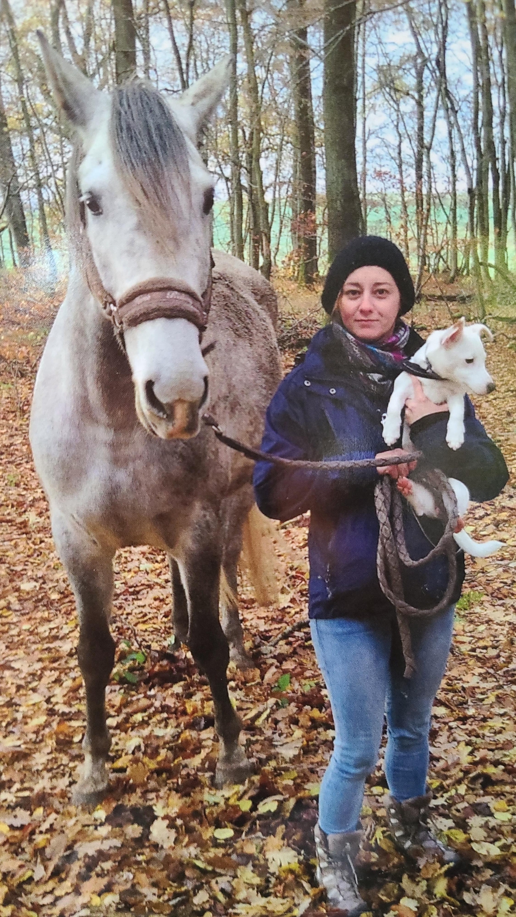 product_list_image_cover