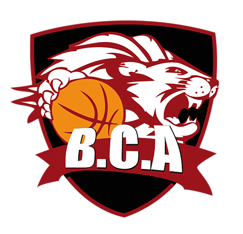 Basket Club Archepontain