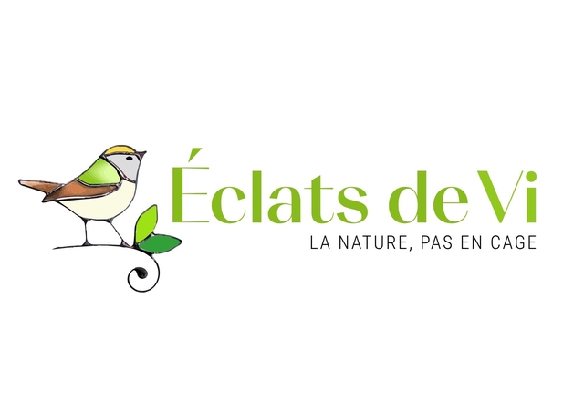 vitraux, oiseaux, verre, moderne, déco