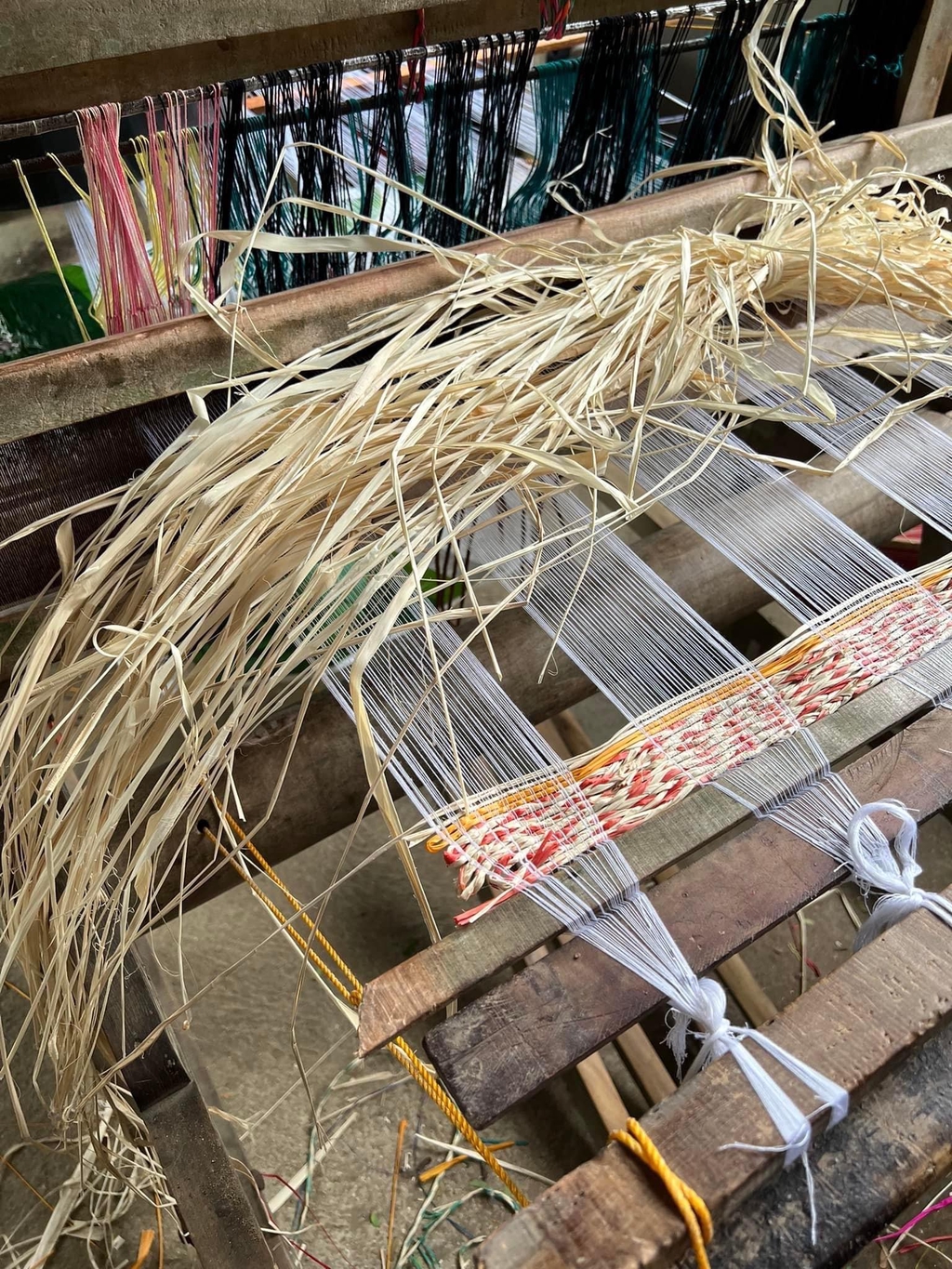 banner_image