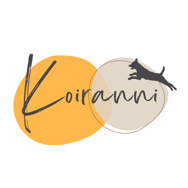 Koiranni | Koirahieronta ja koirakurssit Rovaniemellä