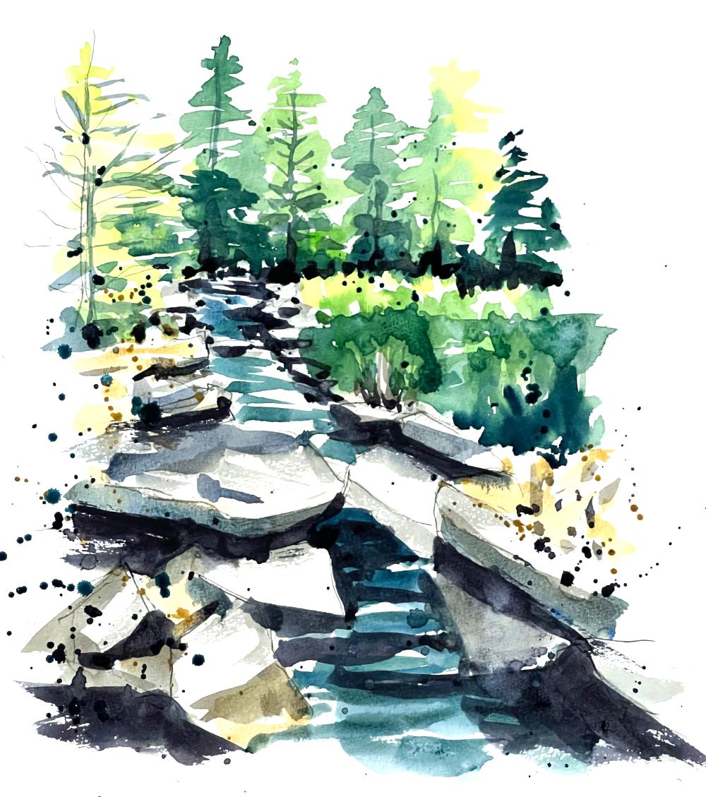 Section image