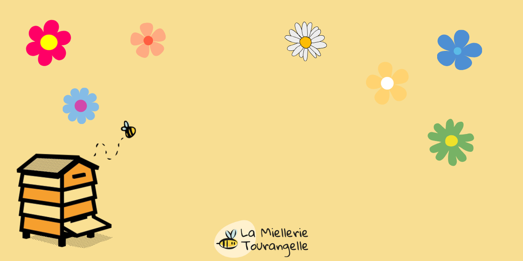 Fond écran page accueil
