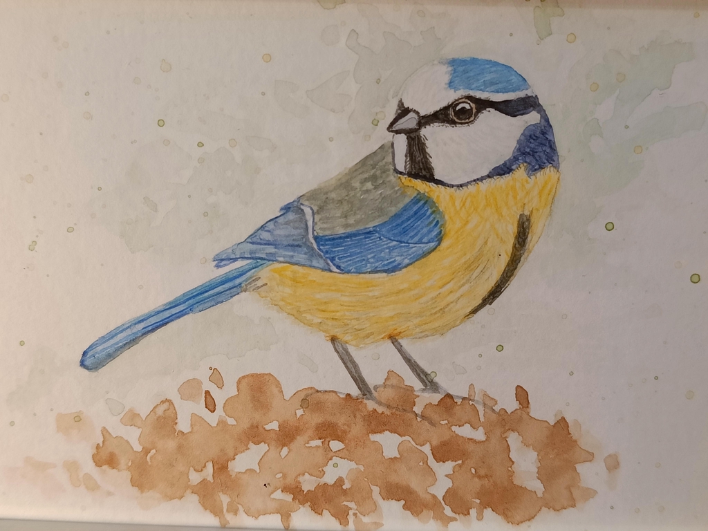 product_list_image_cover