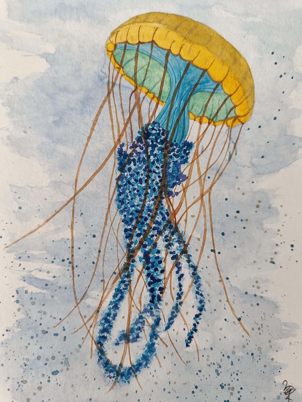 product_list_image_cover