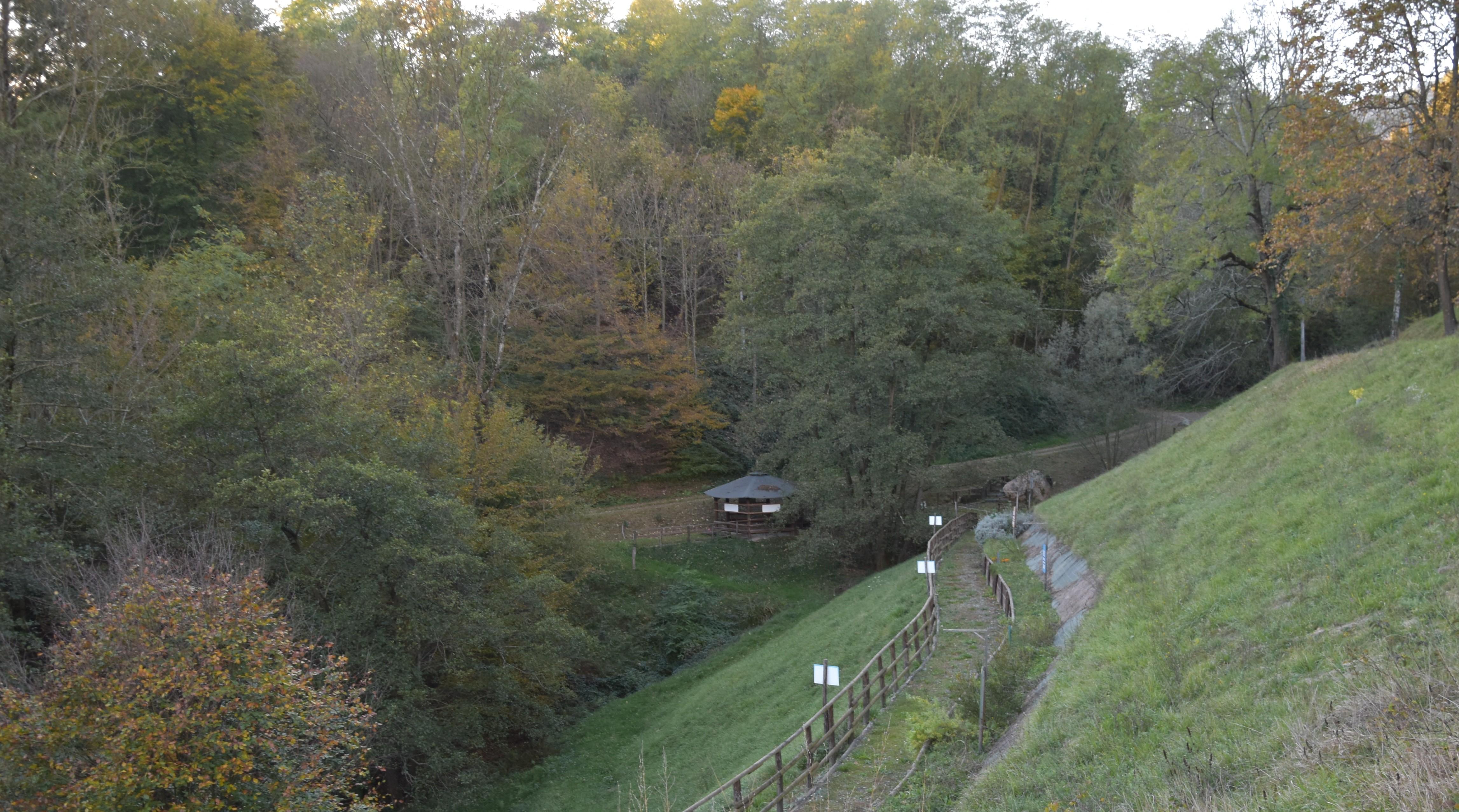 Section image