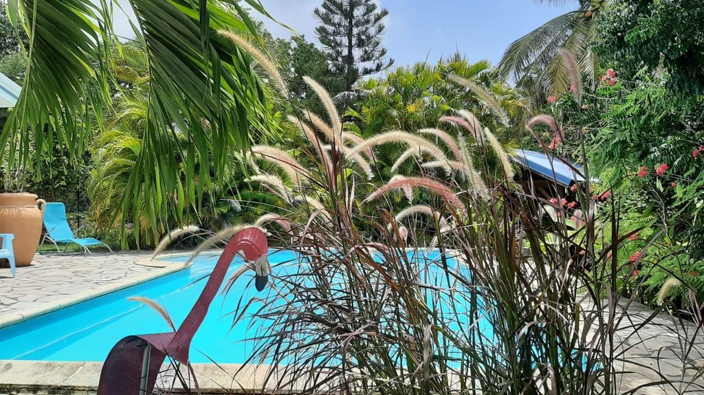 Informations pratiques