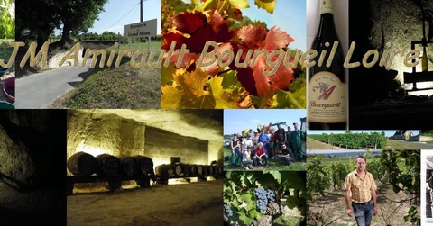 Bonjour,
J’avais envie de vous raconter comment je suis devenu vigneron, car ce n’est pas un hasard !  
Tout a commencé avec mon grand-père Ernest, qui en plus des vignes cultivait aussi des céréales, des asperges, de l’ail… A sa suite, mon père Jean a développé les vignes.
En 1984, lorsque j’arrive au domaine, je décide de me consacrer à la vigne uniquement. L’ensemble de mon vignoble est sur l’aire d’appellation Bourgueil. 
Le cahier des charges de l’appellation date de 1937 et le Bourgueillois couvre environ 1400 hectares de vignes en cabernet Franc,  répartis sur  7 communes (Benais, Bourgueil, la Chapelle-sur-Loire, Chouzé-sur-Loire, Ingrandes-de-Touraine, Restigné et Saint Patrice). Les vignes poussent sur deux grands types de sols : les sables et les tufs.
A partir de 2005 je rejoins la dizaine de vignerons en agriculture biologique sur l’appellation. Pour moi il s’agit d’un choix personnel, pour être en accord avec mes convictions. En passant en bio, j’ai changé ma façon de m’en occuper. Je travaille mes sols avec des outils mécaniques, qui me permettent de faire un ensemble de travaux : tontes, labours superficiels… Je passe plus de temps dans mes vignes, qui me le rendent bien. Depuis bientôt 
15 ans, mes vignes plus saines donnent des vins qui expriment pleinement le terroir.
Pour m’occuper au mieux de mes vignes, je confie la vinification au chai collectif de la  coopérative de Restigné. Cela nous permet me mettre en commun les moyens techniques et humains. Mes raisins y sont vinifiés séparément puis je les y mets en bouteilles, ce qui me permet de les commercialiser au domaine ou à la cave.
Avec plusieurs vignerons de Benais nous avons acquis un immense ensemble de caves,  que nous avons réaménagé. Maintenant, chacun d’entre nous possède sa propre partie pour conserver son vin et accueillir ses visiteurs. 

Cette grande cave « la Cave de Grand Mont » était à l’origine une « perrière » : c’est-à-dire l’endroit où l’on extrayait le tuffeau. Les pierres de tuffeau étaient ensuite vendues et posées pour la construction des châteaux, des églises et des belles demeures. 

La vente du tuffeau s’essoufflant, une bonne partie de ces galeries d’extraction furent repensées en champignonnière, à la fin du 19ème siècle. Il faut savoir que le champignon de « Paris » ne vient pas de Paris, mais bien surtout du Val de Loire !! 

Pour conserver ce patrimoine local, les vignerons de Benais ont choisi de le transformer en cave commune.

C’est une belle histoire de famille, que j’espère pouvoir vous racontez en détails lors de notre prochaine rencontre si vous venez nous visiter au cœur de notre Touraine Angevine. 
 
A votre santé, JM Amirault.