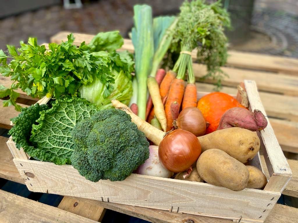 Panier de légumes