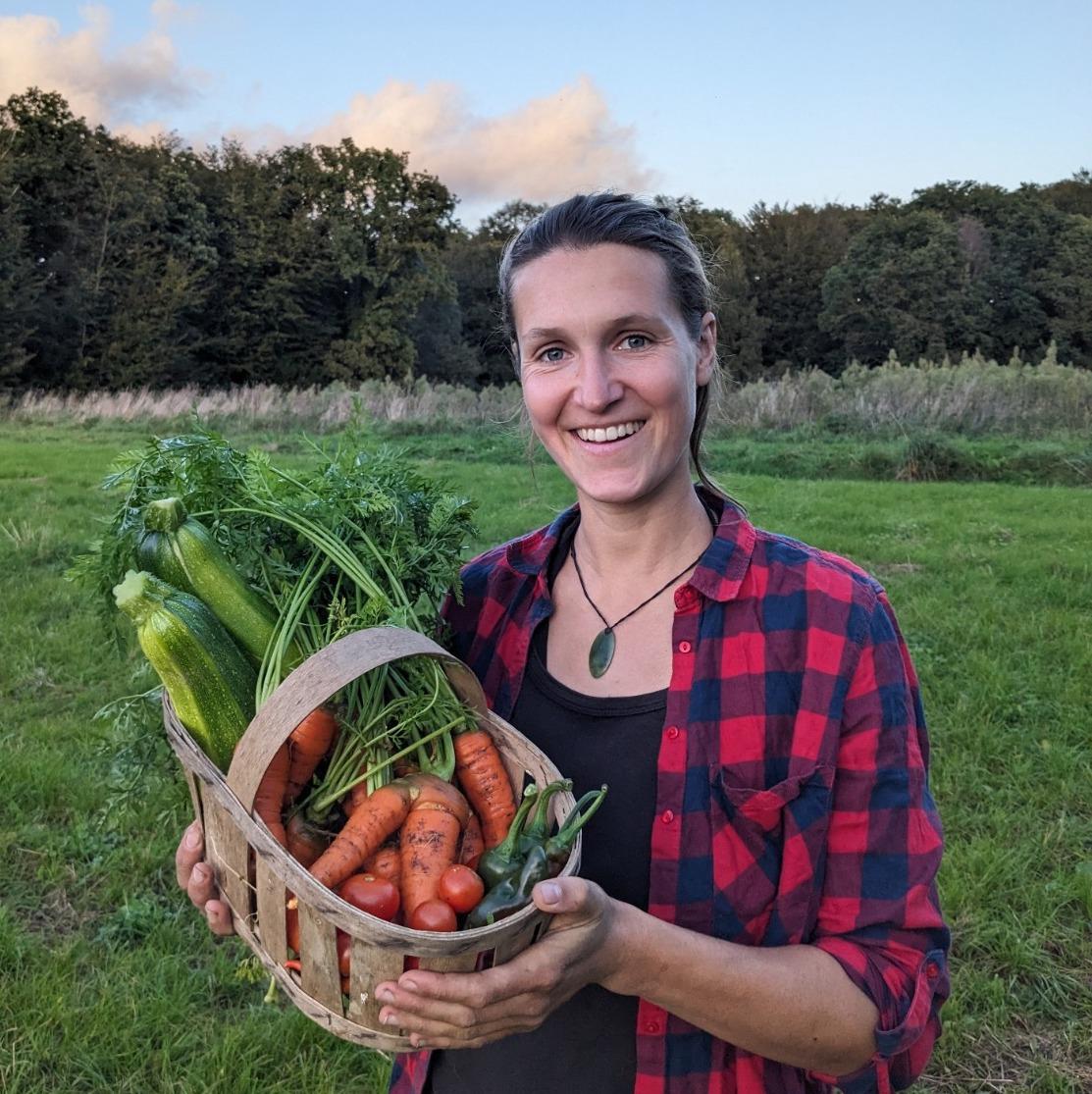 Vente de légumes bons et sains